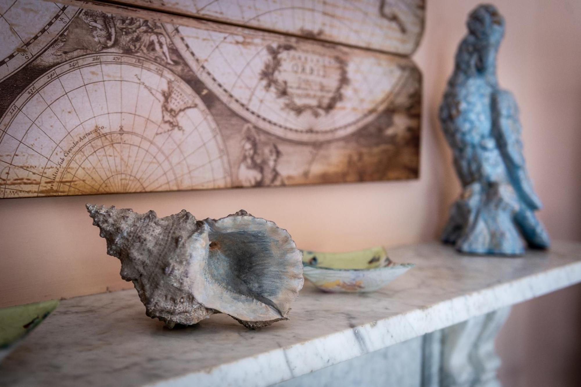 Darwin'S Townhouse Shrewsbury Quarto foto A conch shell